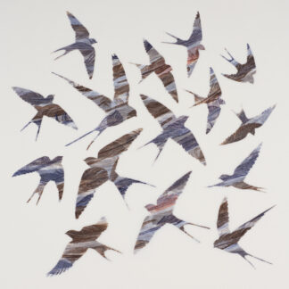 As Swift as Swallows Fly by Ruth Thomas RCA