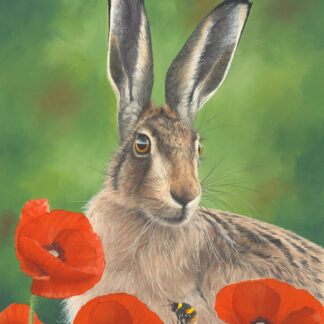 hare, poppies