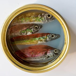 fish tin art