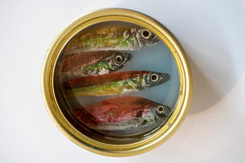 fish tin art