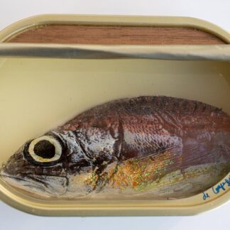 fish tin artwork