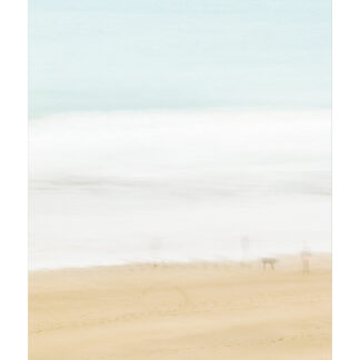 Dog Three by Sandy Steele-Perkins