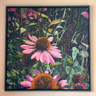 Echinacea by Katie Brent