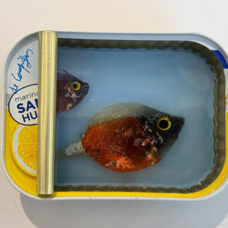 Pip & Pop by Ortaire de Coupigny