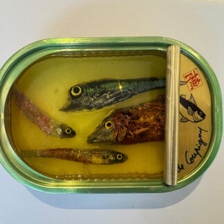 The Coral Crew by Ortaire de Coupigny