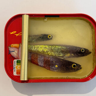 The Three Sea-sketeers by Ortaire de Coupigny