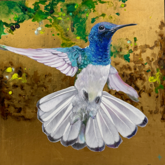 Chuparrosa 2603 by Keng Wai Lee