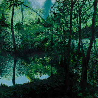 Forest Glade by Riga Forbes