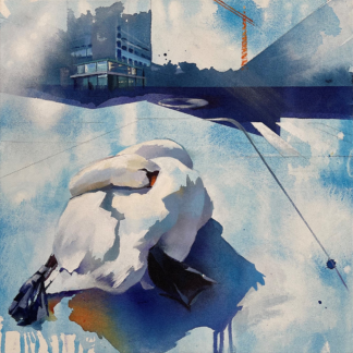 Sleeping Swan by Claire Smith