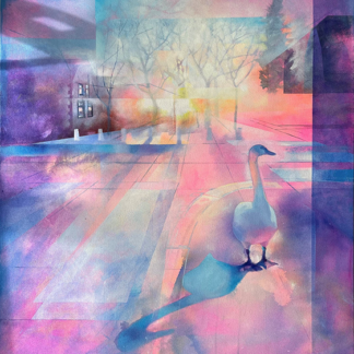 Swan with Blue Shadow by Claire Smith