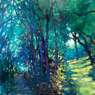 Soft Winds & Shadows by David Hinchliffe