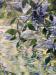 Silent Ripples Detail 1