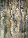 Reed Bed Detail 2