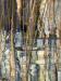 Reed Bed Detail 3