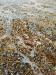 Shingle-Detail-3-