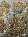 Shingle-Detail-2-