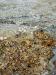 Shingle-Detail-1-