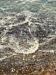 LOTW Detail 2
