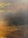 After the Sunset crop 2 sml