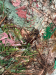 Autumn Leaves Detail 2