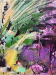 Unsquare Dance Detail 2