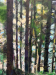 Take Five Detail 2