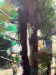 Take Five Detail 3