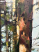 Take Five - Detail 1