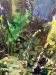 Symphony for Spring Detail 3
