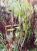 Square Dance Detail 2