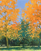 Brighter Days Detail 2