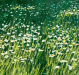 image00003
