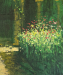 Into the Woods_detail01