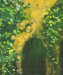 Into the Woods_detail02