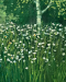 The City’s Flower Bed_detail02