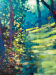 Soft Winds & Shadows_detail02