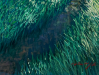 Everchanging_detail01