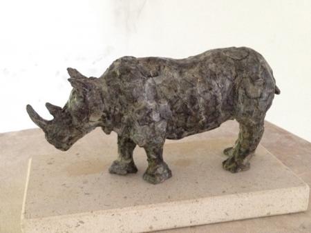 Iron Clad - rhino NEW WEB