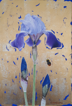 Iris-and-Bumblebee