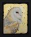 Framed-Barn-owl-portrait---Clive-Meredith