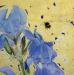 Bearded-Iris-Early-Bumblebee-detail