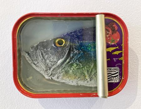 Fish Tin (Small rectangle) 1