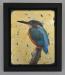 Framed-Kingfisher